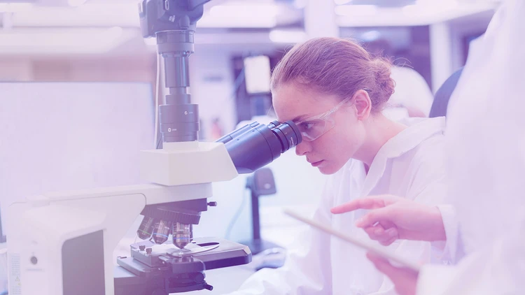 Digital fundraising per Airalzh