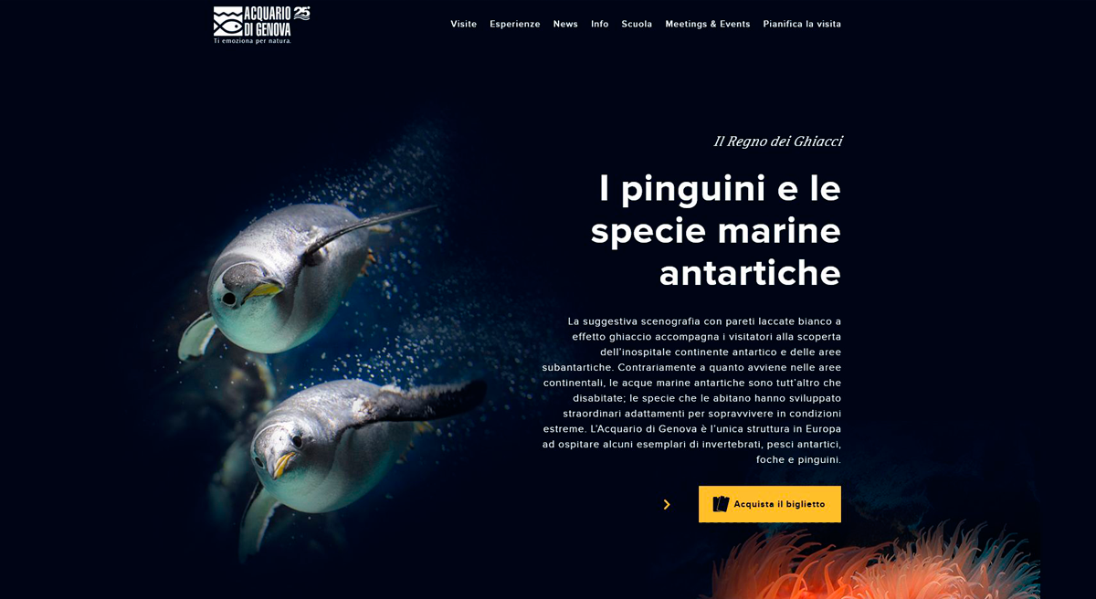 Sito Acquario di Genova by websolute